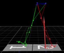 Gait Analysis